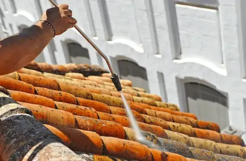 Nettoyage de toitures - Saint-Denis-en-Bugey